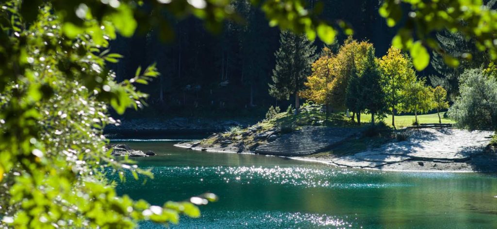 Breiter, klarer Fluss fliesst an einem Wald und an einer von Bäumen gesäumten Wiese vorbei.