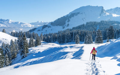 Winterzauber: 5 schöne Touren zum Schneeschuhwandern
