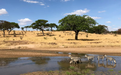 Jenseits von Afrika mit Tchibo