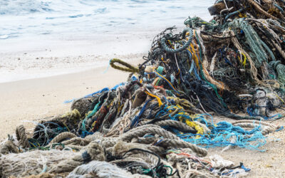 Herausforderungen zum Thema Plastik